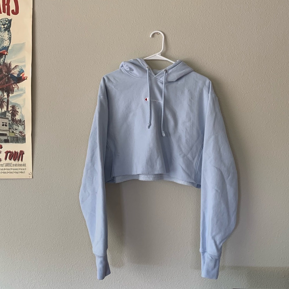 champion baby blue cropped hoodie